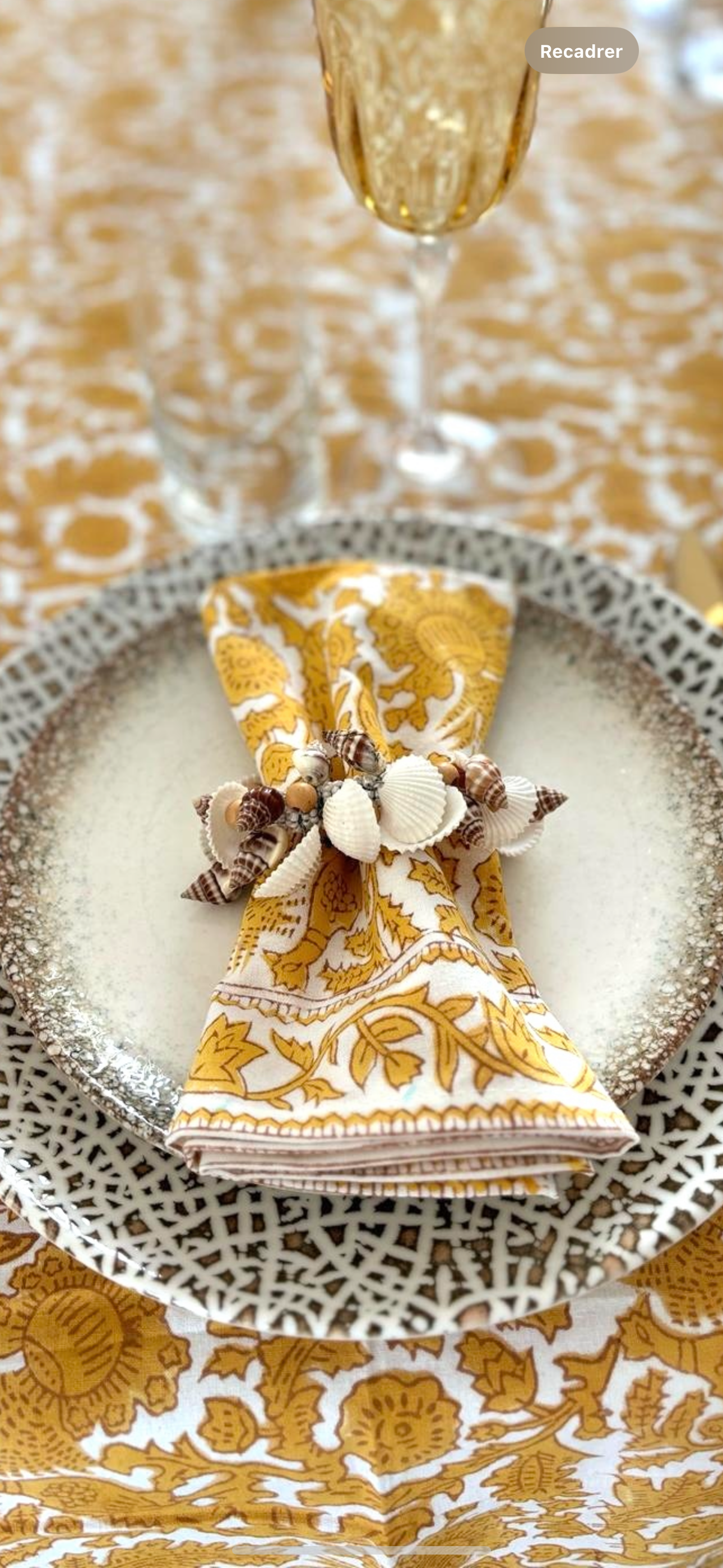 SHELL (Set of 6)
